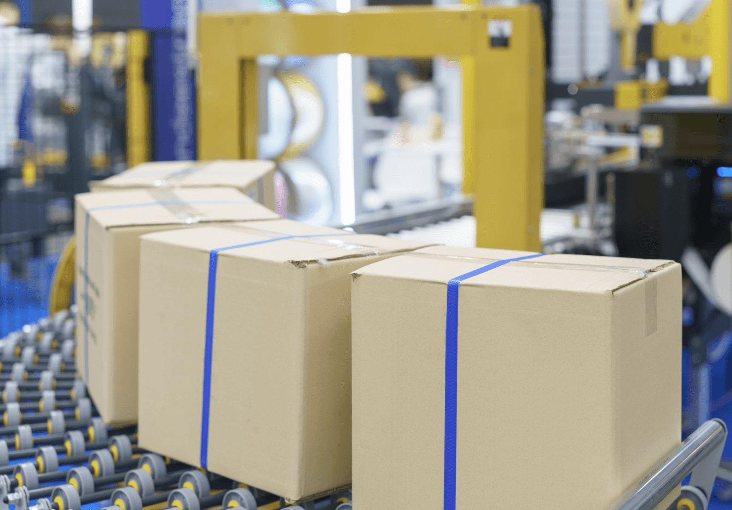 Recepción Allpak